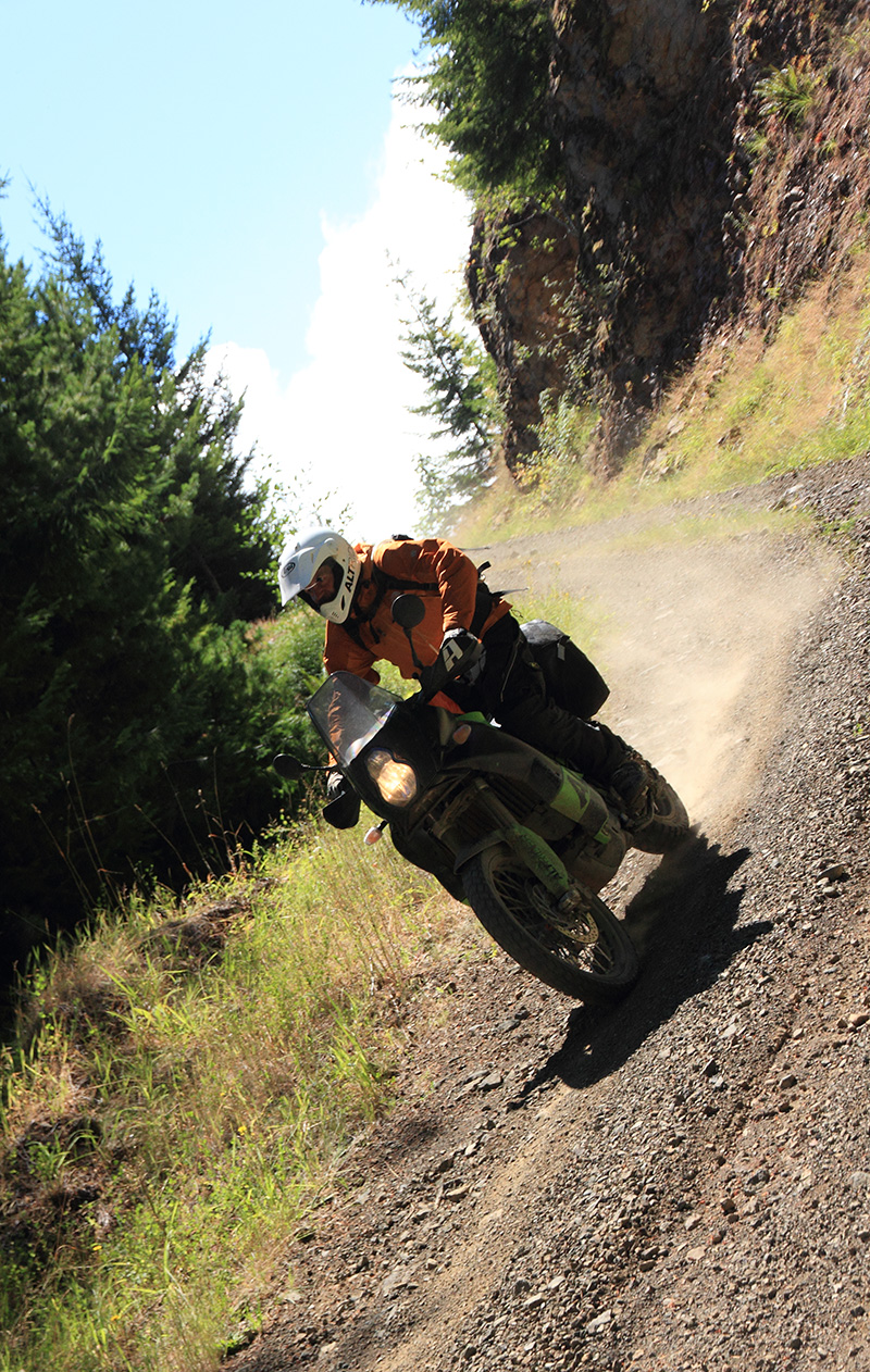 AltRider Hoh Rain Forest Ride – Dynamic and Environment – OneWheelDrive.Net