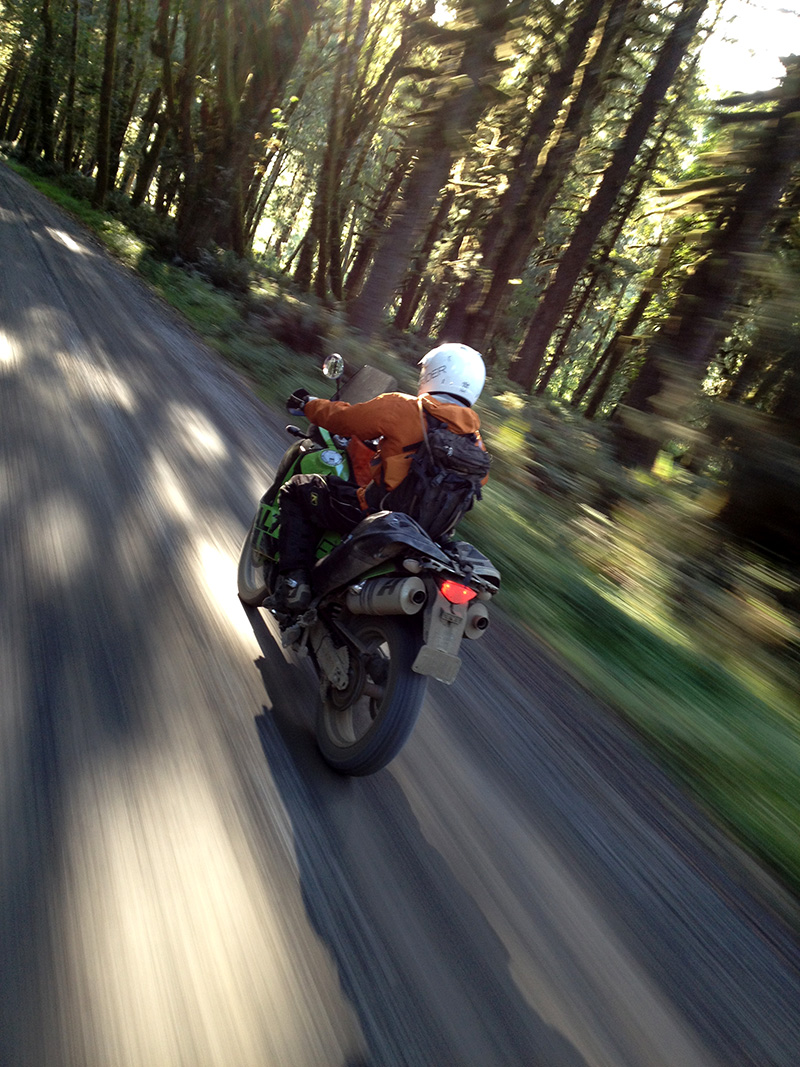 AltRider Hoh Rain Forest Ride – Dynamic and Environment – OneWheelDrive.Net